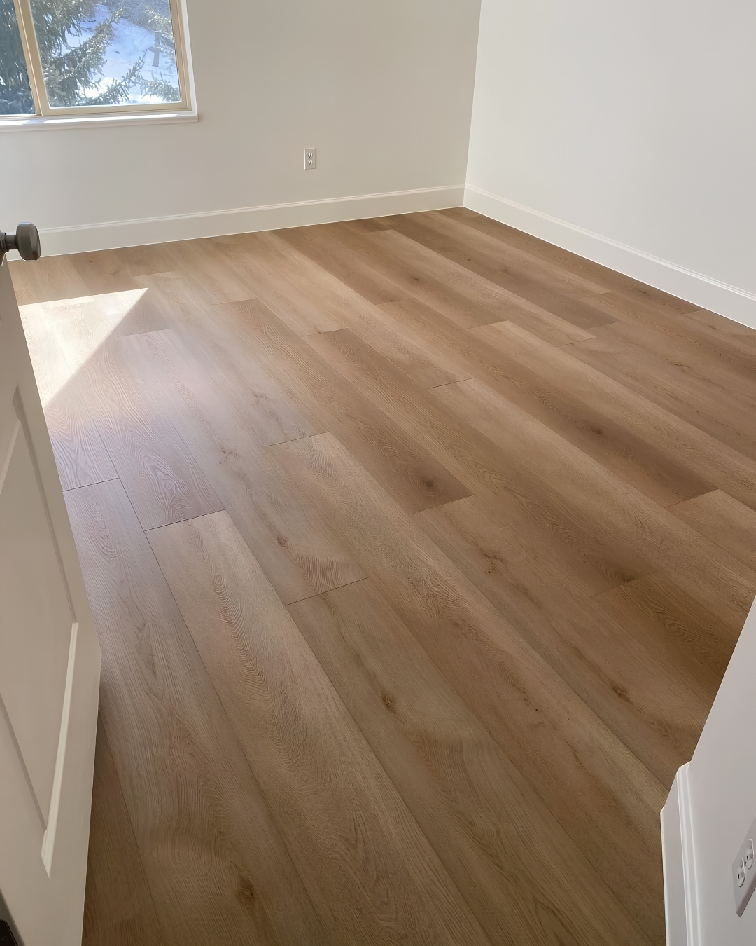 Vinilico en Mérida — Decorama