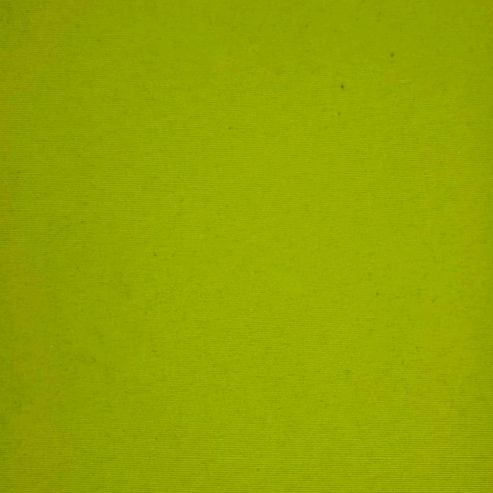 Daytona Limón