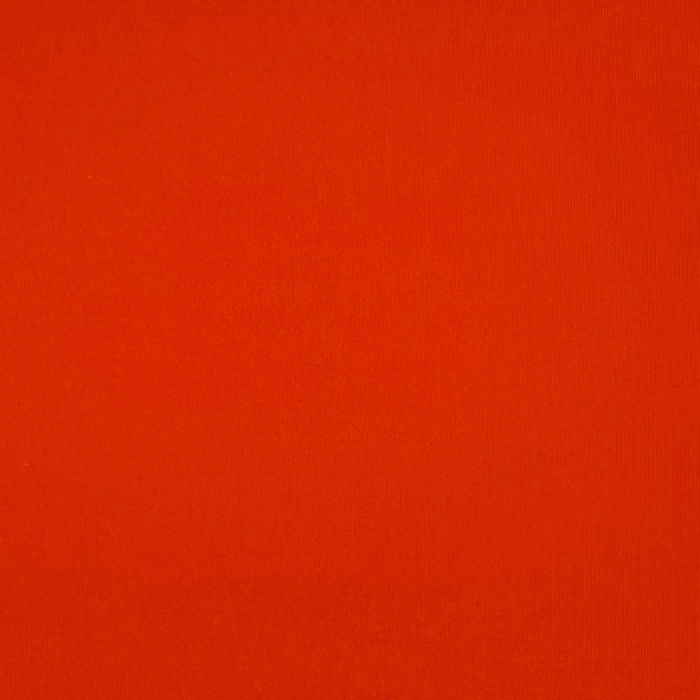 Daytona naranja